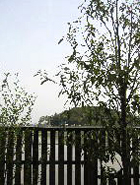 ���Ɏ��ȃN���b�N����̌i�F